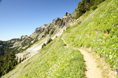 _MG_0669.JPG