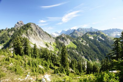 _MG_0981.JPG