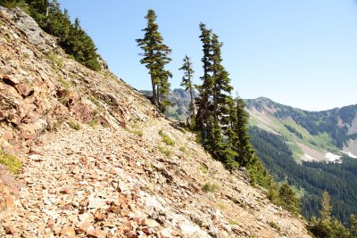 _MG_1229.JPG