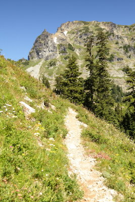 _MG_1245.JPG
