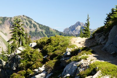_MG_1347.JPG