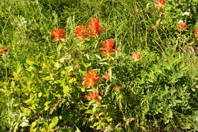_MG_1399.JPG