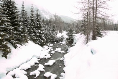 _MG_7245.JPG