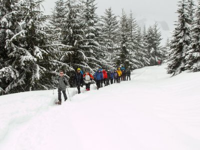_MG_7259-2.JPG