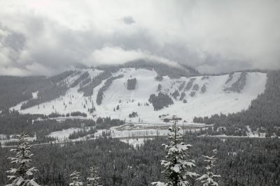 _MG_7273.JPG