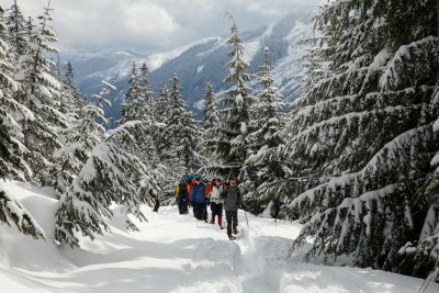 _MG_7308.JPG