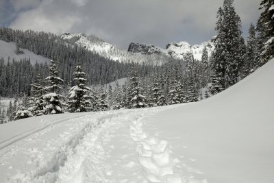 _MG_7319.JPG