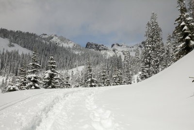 _MG_7323.JPG