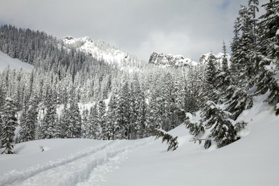 _MG_7325.JPG