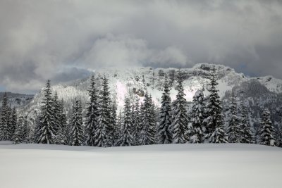 _MG_7373.JPG