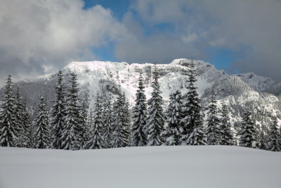 _MG_7388.JPG