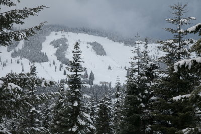 _MG_7422.JPG
