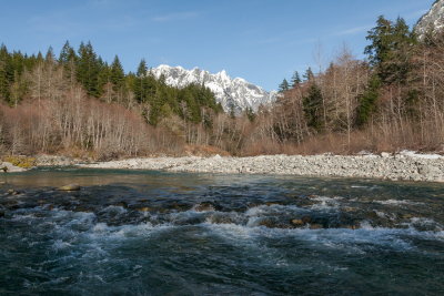 _MG_7728.JPG