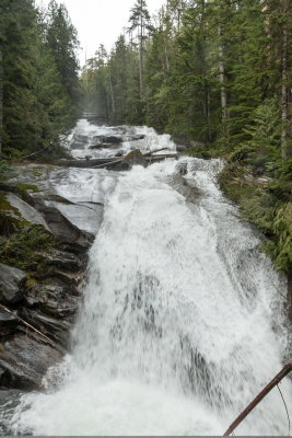 _MG_1267.JPG