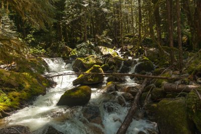 _MG_1302.JPG