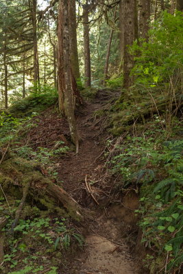 _MG_1306.JPG