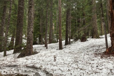 _MG_1318.JPG