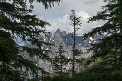 _MG_1340.JPG