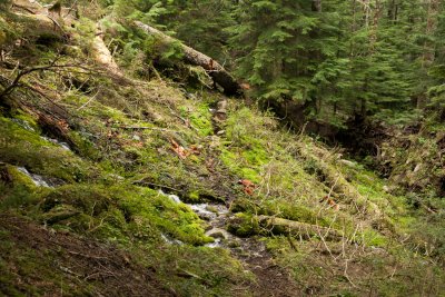 _MG_1347.JPG