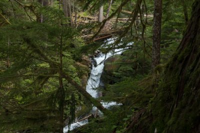 _MG_1370.JPG
