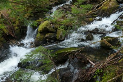 _MG_1375.JPG