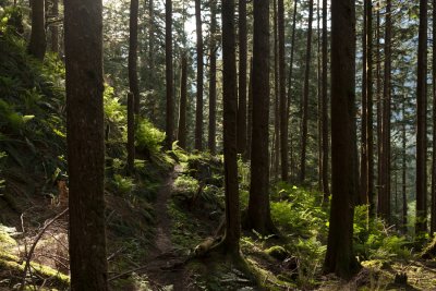 _MG_1383.JPG