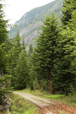 _MG_2405.JPG