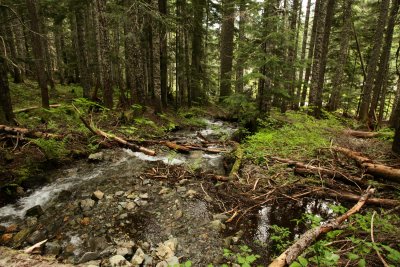 _MG_2407.JPG