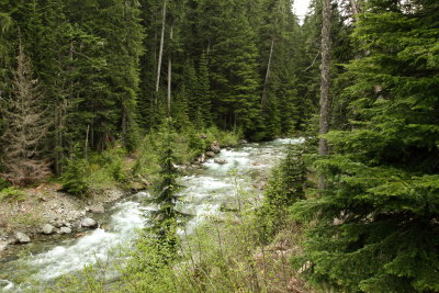 _MG_2412.JPG