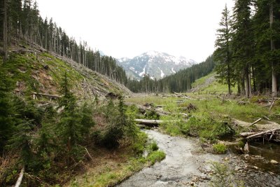 _MG_2417.JPG