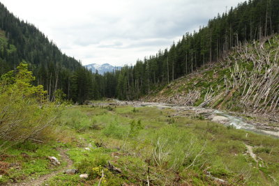 _MG_2426.JPG
