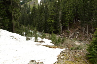 _MG_2431.JPG