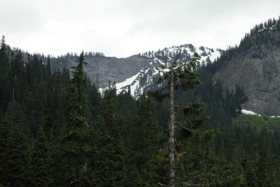 _MG_2433.JPG