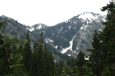 _MG_2455.JPG