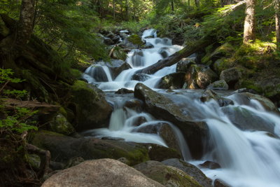 _MG_2790.JPG