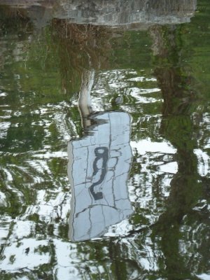 Reflection in Water