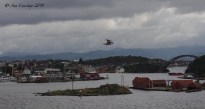  Stavanger harbour
