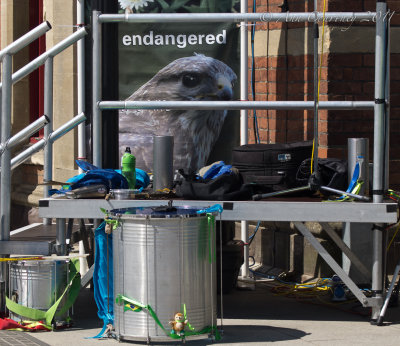 Endangered