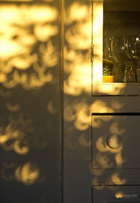 Evening light on the Devon Dresser