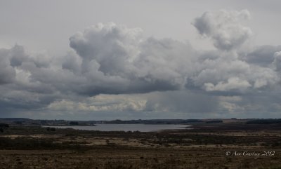 g4/63/768563/3/142720675.Gff20lH9.jpg