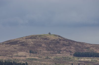 g4/63/768563/3/142720677.JRGsLAq6.jpg