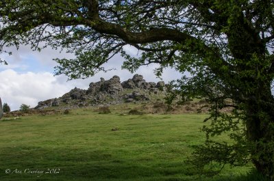 Hound Tor