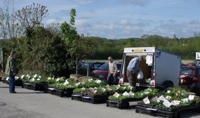 Plants a'plenty