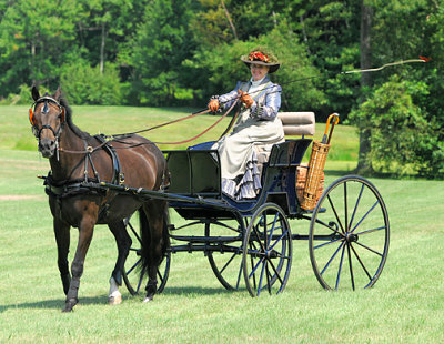 Horse and Buggy_1833.jpg