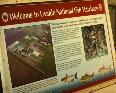 National Fish Hatchery Spring 2011