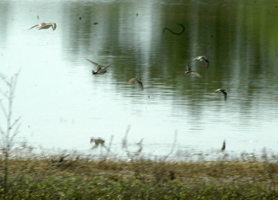 47NealsCooksFH 15waders.jpg