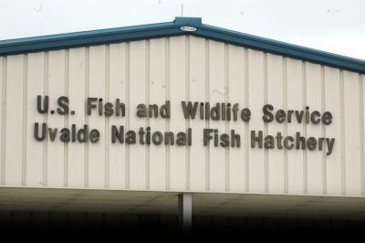 47NealsCooksFH 066Fish.jpg