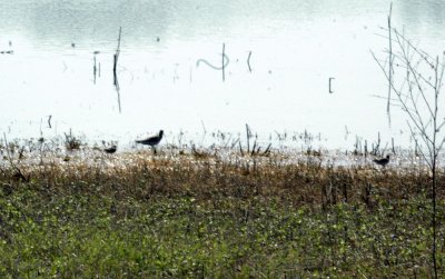 47NealsCooksFH 150waders.jpg