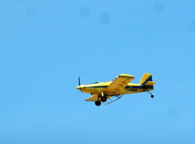 62cooksss 012cropduster.jpg