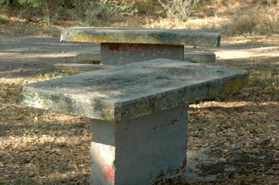 619cooks 038old picnic ground.jpg
